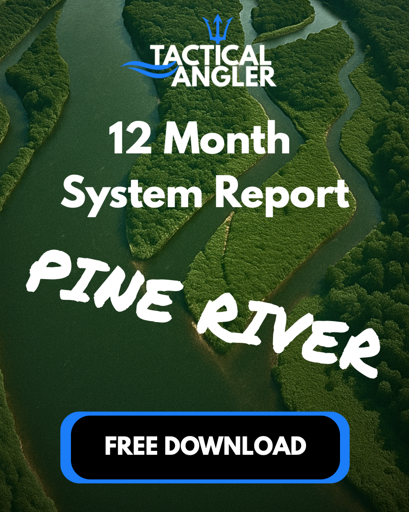 🐟 FREE 12-Month System Report - Pine RIver