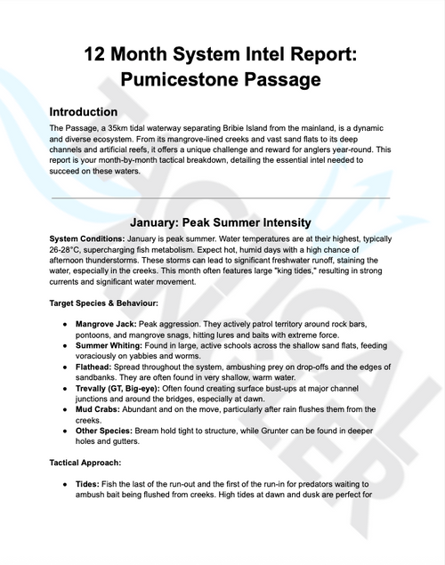 🐟 FREE 12-Month System Report - Pine RIver