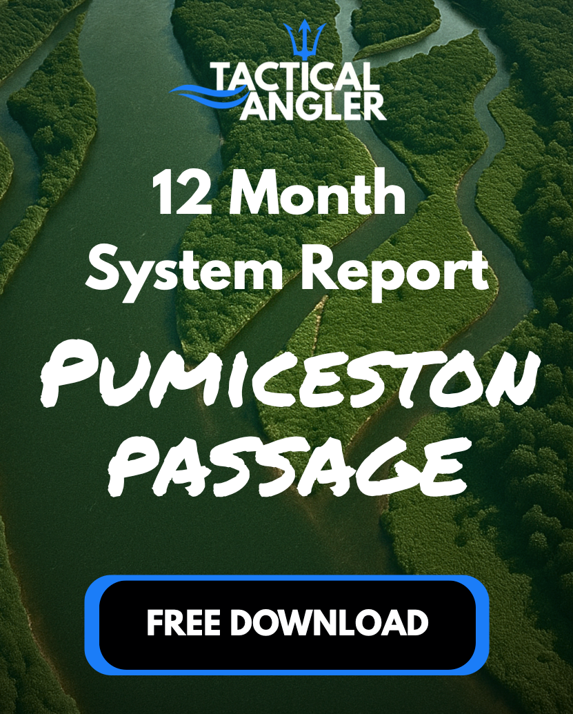 🐟 FREE 12-Month System Report - PUMICESTONE PASSAGE